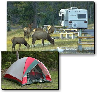 Camping in Teller County