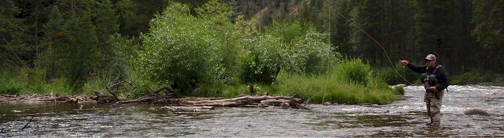 Teller County Fishing