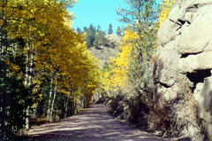 Gold Camp Road