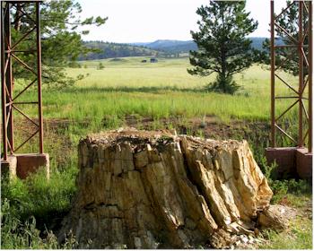 Florissant Fossil Beds