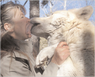 Wolf Kiss