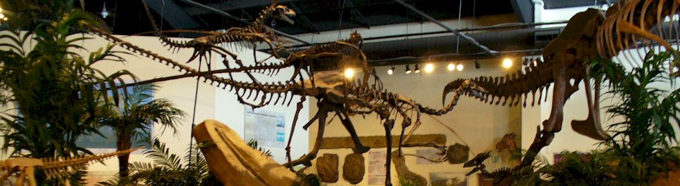 Rocky Mountain Dinosaur Resource Center