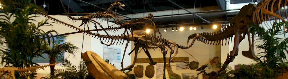 woodland park dinosaurs
