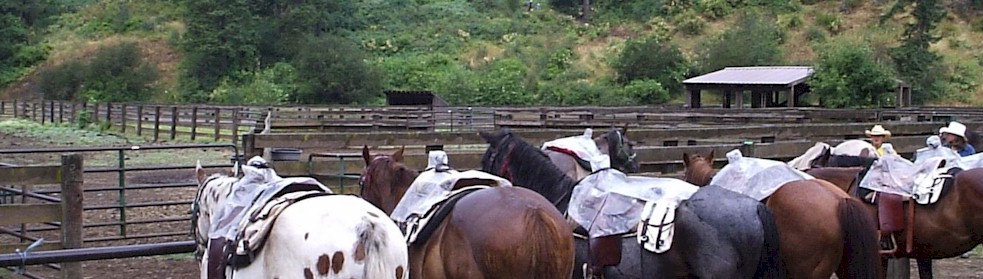 Teller County Guest & Dude Ranch