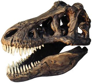 Dinosaur