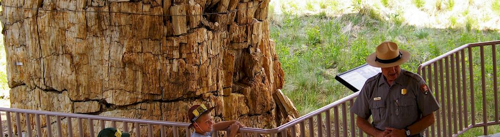 Florissant Fossil Beds National Monument