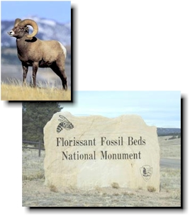 Florissant Colorado
